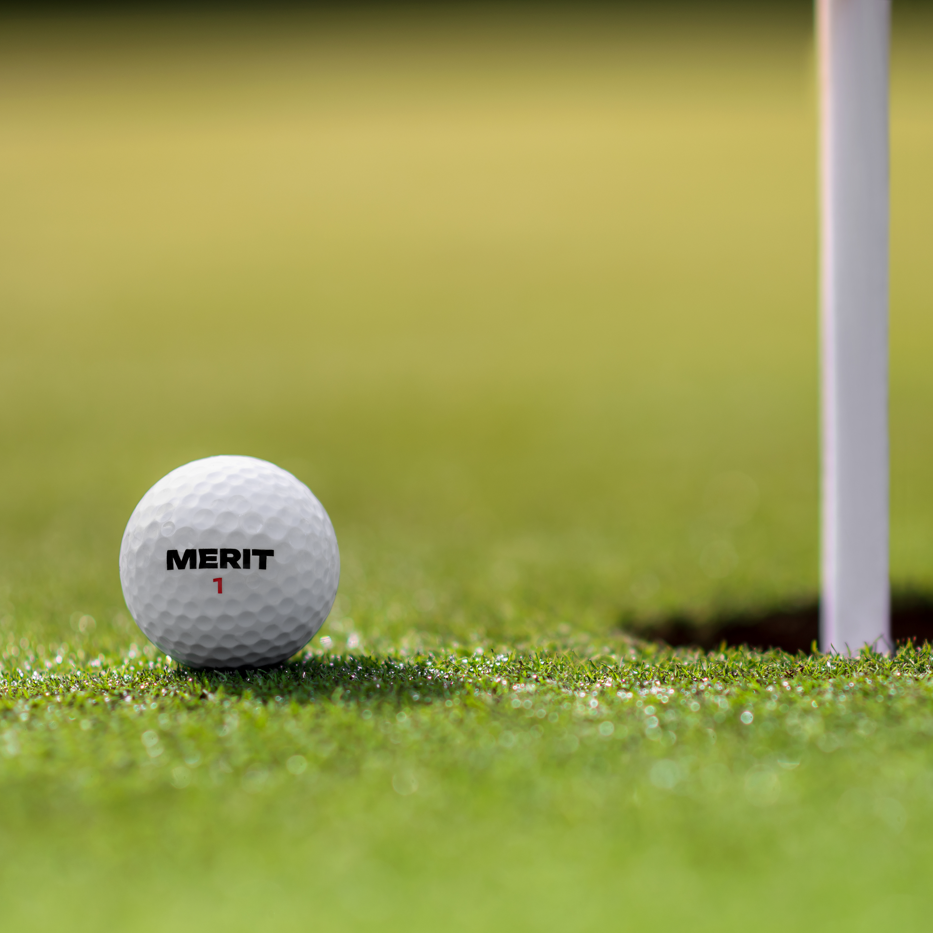 MERIT M1s (1 Dozen)