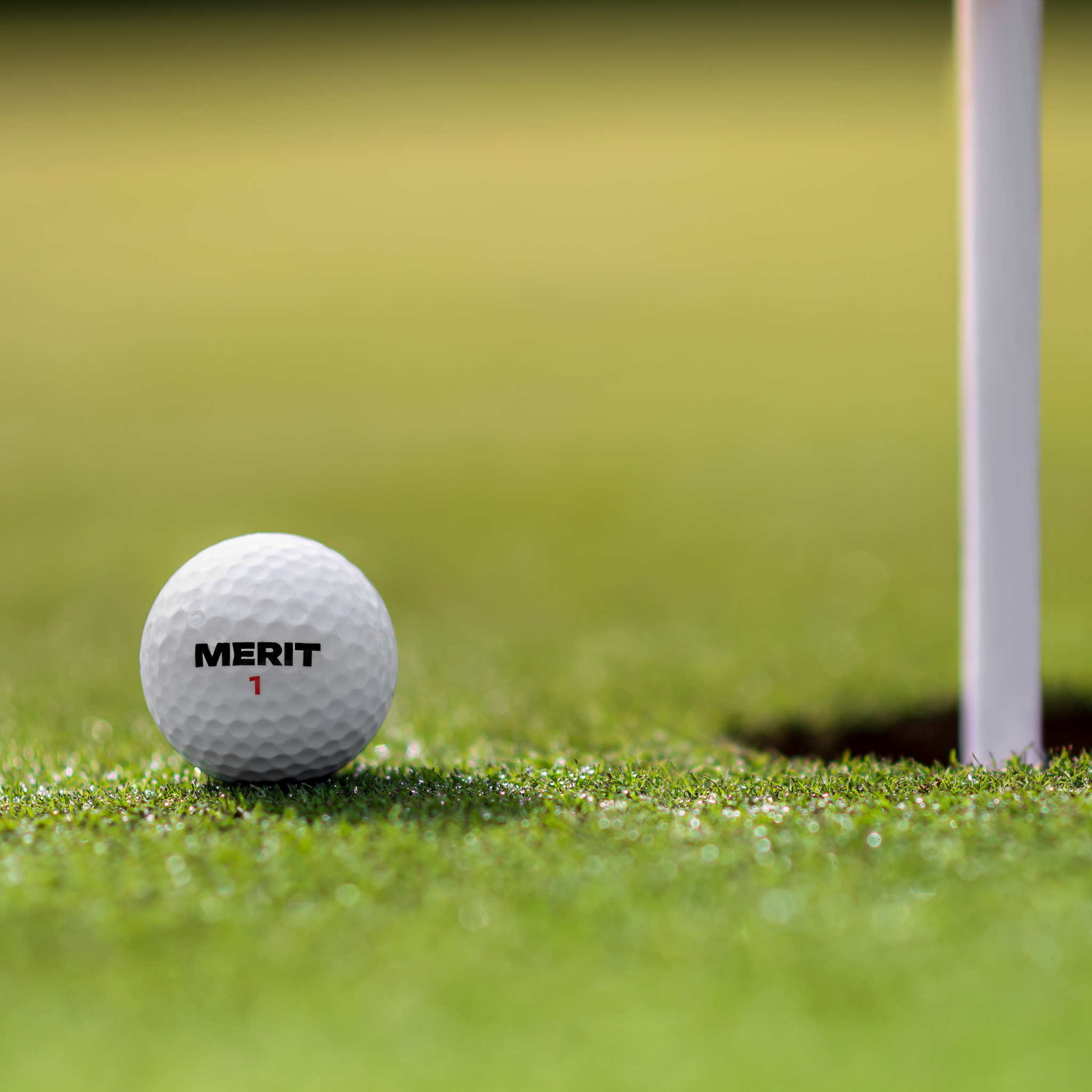 MERIT M1s (1 Dozen)