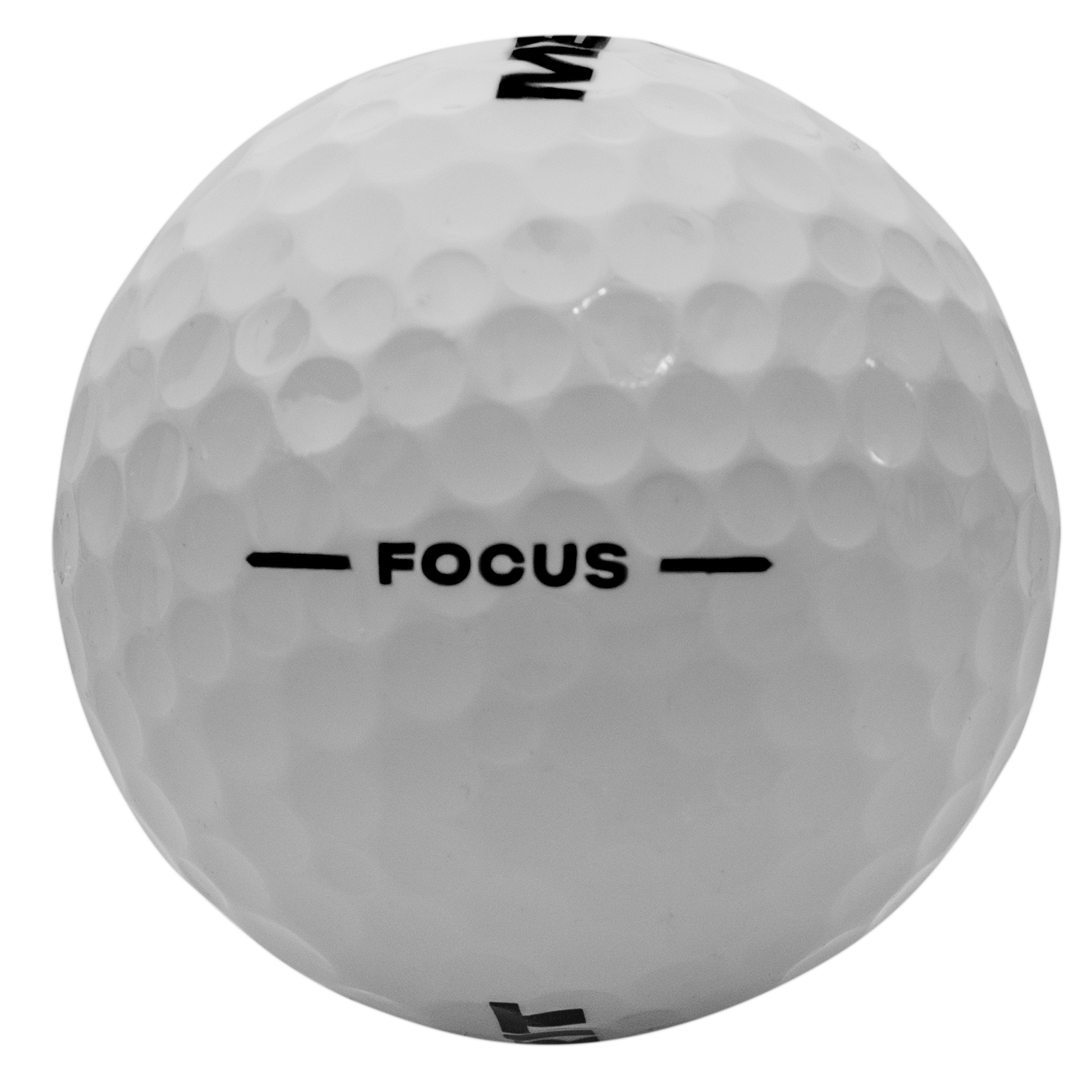 MERIT M1s (1 Dozen)