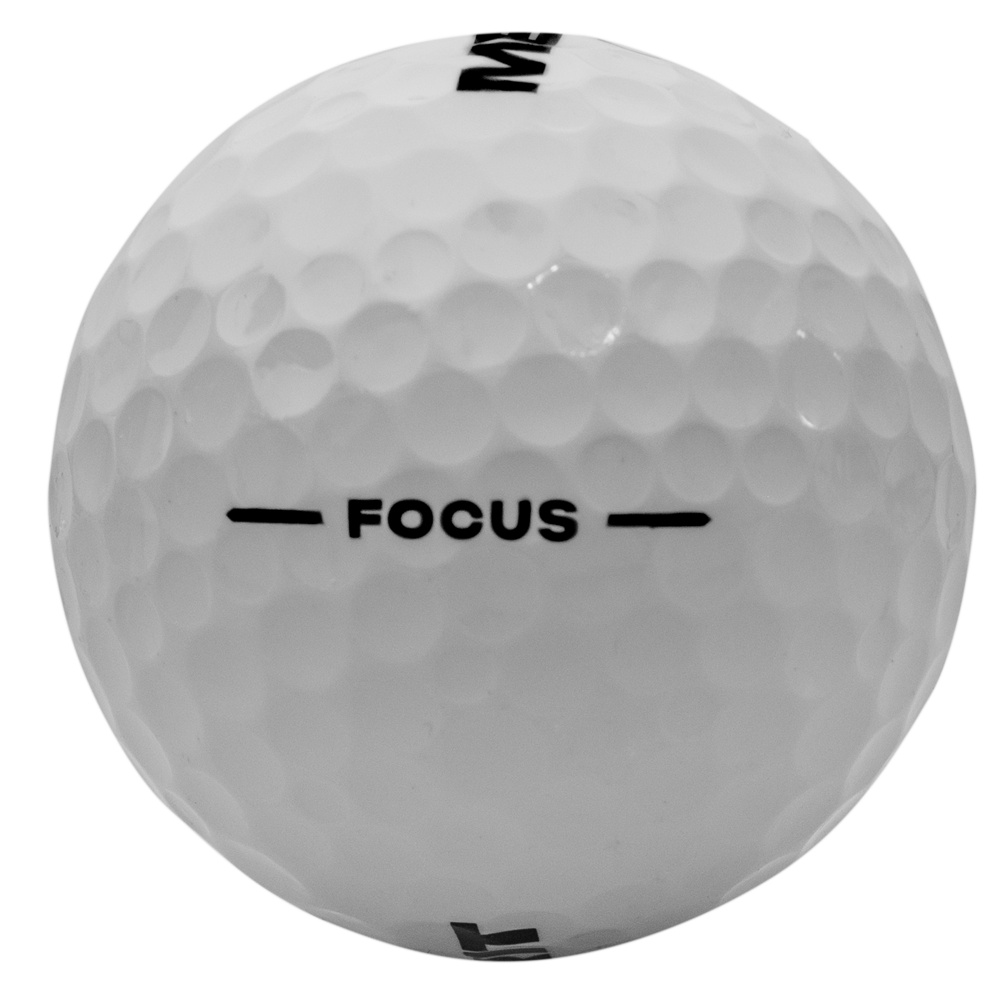 MERIT M1s (1 Dozen)